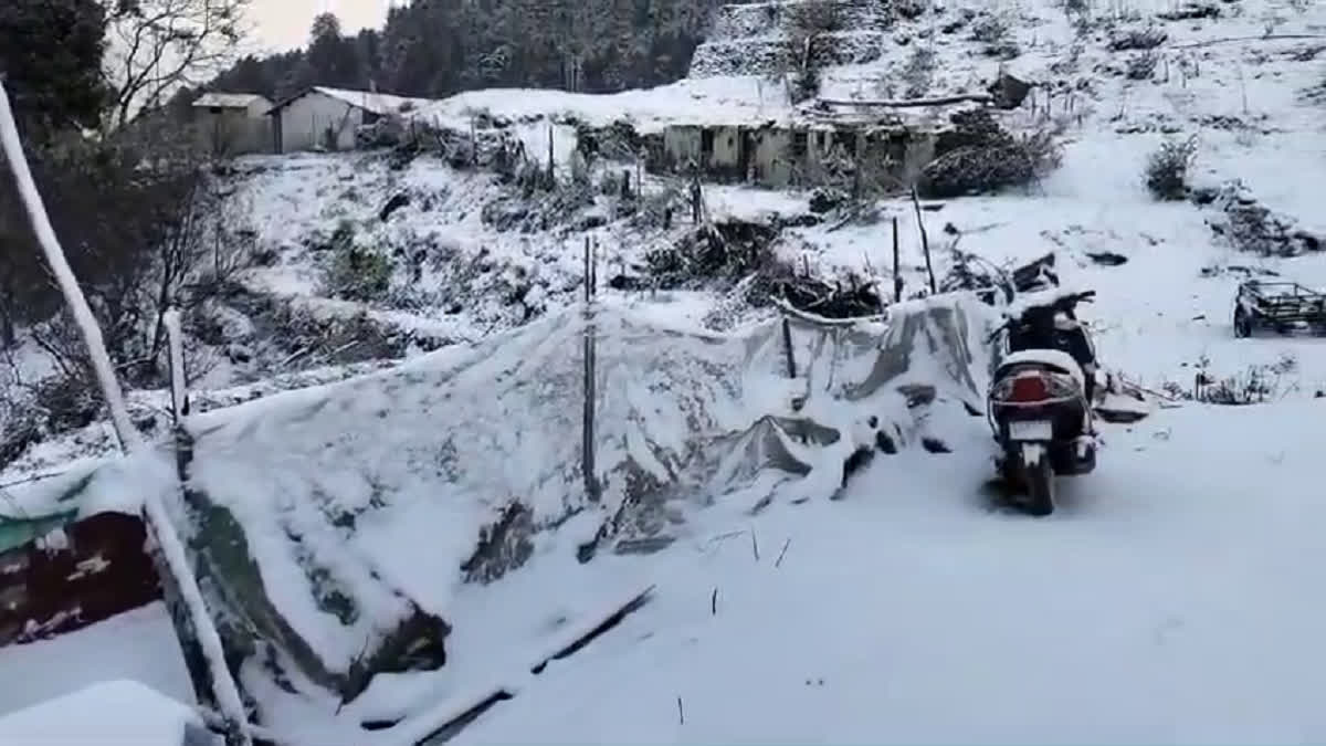 HEAVY SNOWFALL IN AULI