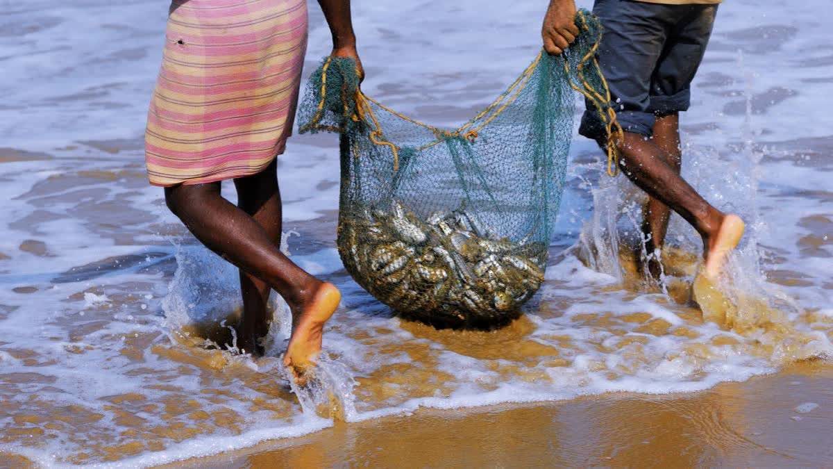 ICAR-CIFT Creates Eco-Friendly Alternative To Lead Sinkers In Fishing Nets