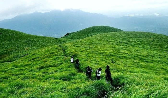 WAYANAD TOURISM  വയനാട് വിനോദസഞ്ചാരം  KERALA TOURISM  KERALA DESTINATIONS