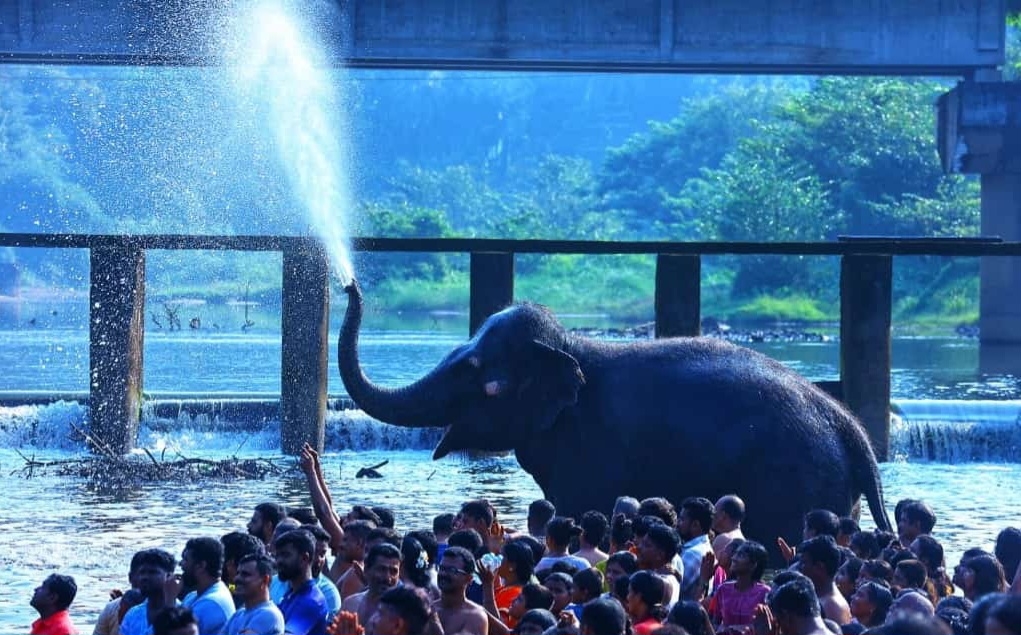 kukke subramanya