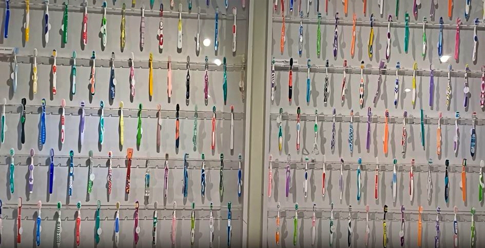 DENTAL MUSEUM GOT GWR  GUINNESS BOOK OF WORLD RECORDS  TOOTHBRUSH COLLECTION  വഡോദര ഡെന്‍റൽ മ്യൂസിയം