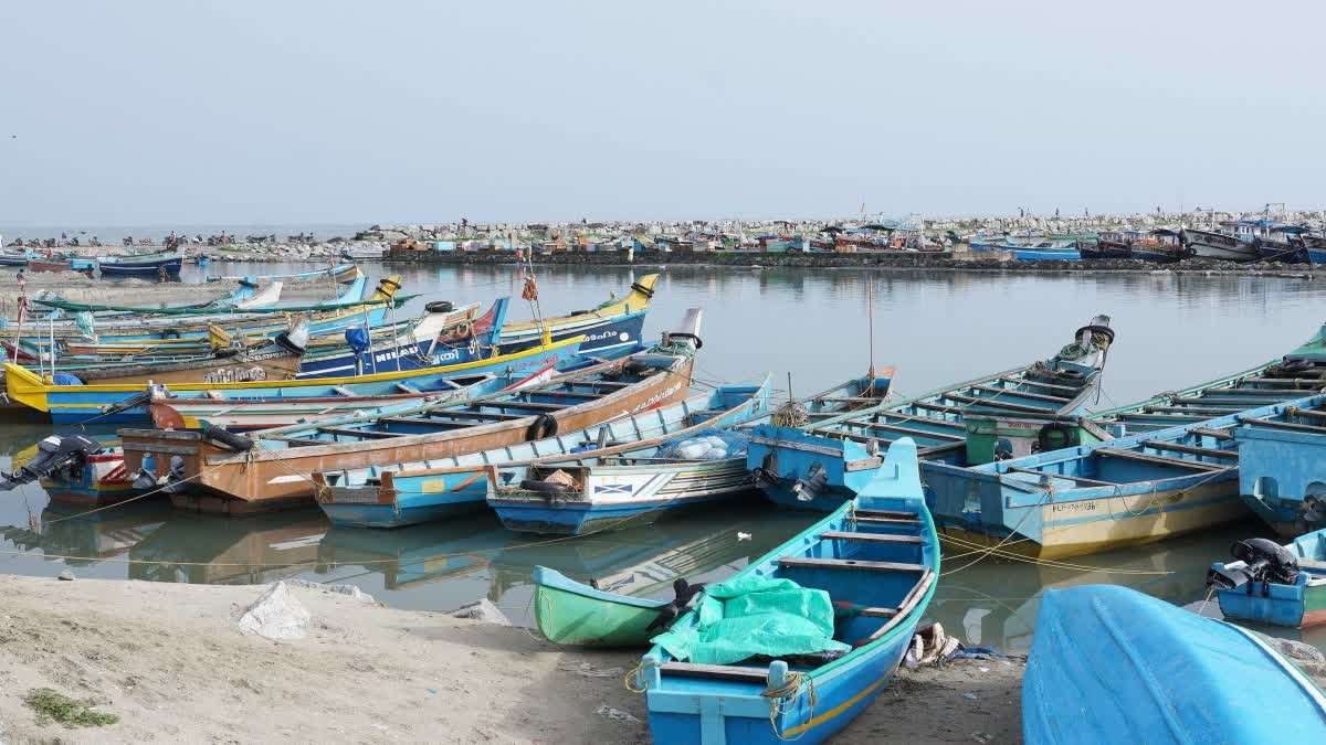 STAINLESS STEEL INSTEAD OF IYYAM  മത്സ്യബന്ധനം  മീൻപിടുത്ത വല  FISHING NETS