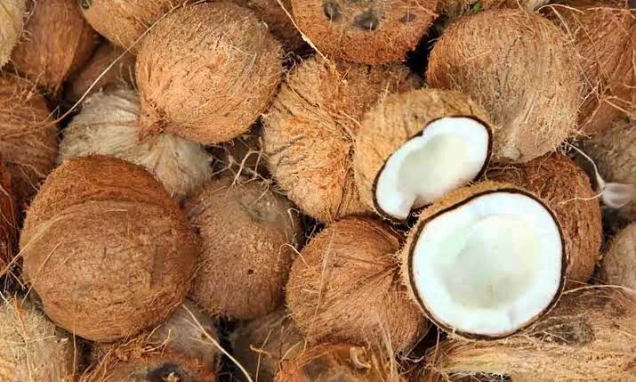 COCONUT OIL RATE  COCONUT RATE HIKED  COCONUT OIL RATE HIKE  COCONUT AND OIL RATE INCREASED