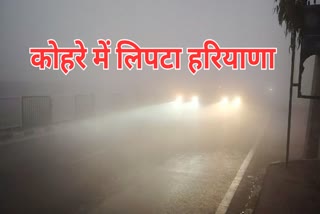 Haryana weather update