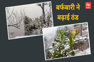 Chamoli heavy snowfall