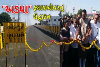 ભાવનગરમાં ફ્લાયઓવરનું લોકાર્પણ