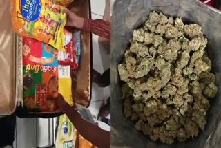 cannabis seized  Ganja seized customs  കഞ്ചാവ്  കൊച്ചി രാജ്യാന്തര വിമാനത്താവളം