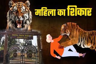 PANNA TIGER RESERVE TIGRESS ATTACK