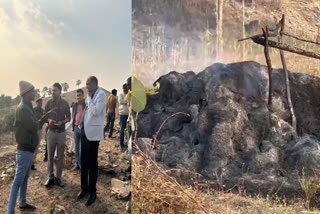 In a tragic incident, two children, Ananya (8 months) and Aarav (3 years) were charred to death when a fire broke out in a hut at Bargad village in Singrauli district, Madhya Pradesh, on Monday.