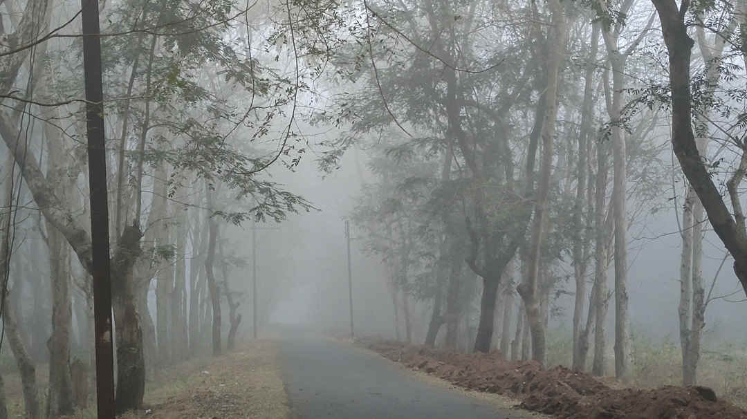 Gaurela Pendra Marwahi Weather