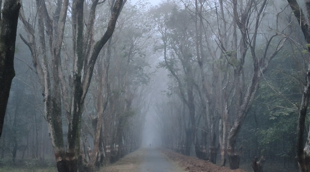 Dense fog covered Pendra