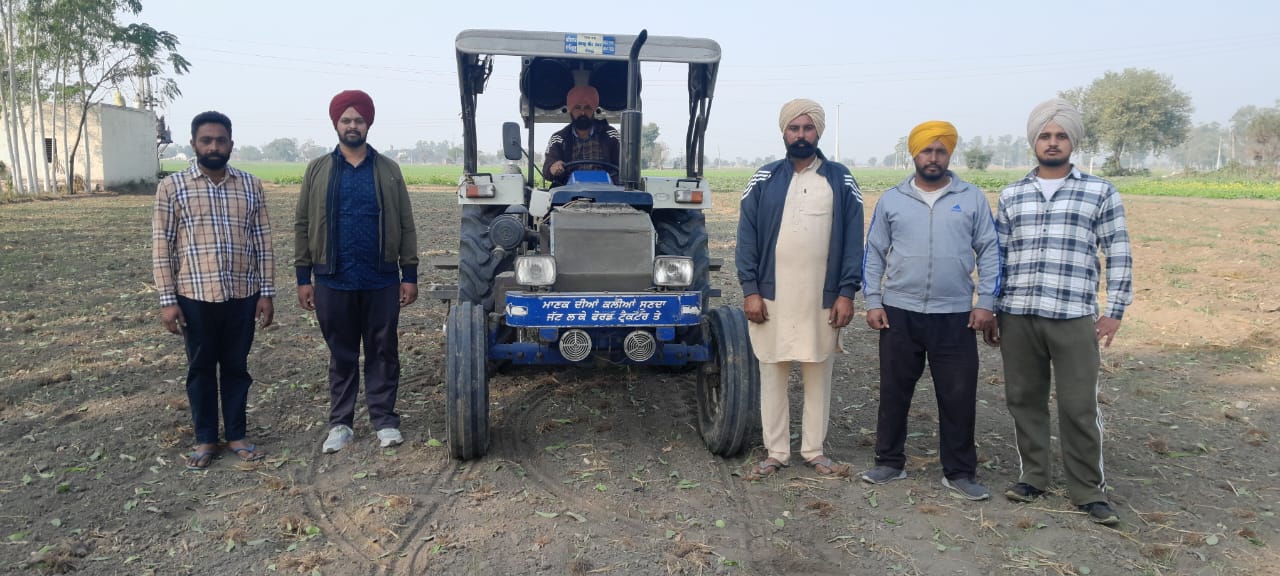 PINK SUNDI OFFERING WHEAT CROP