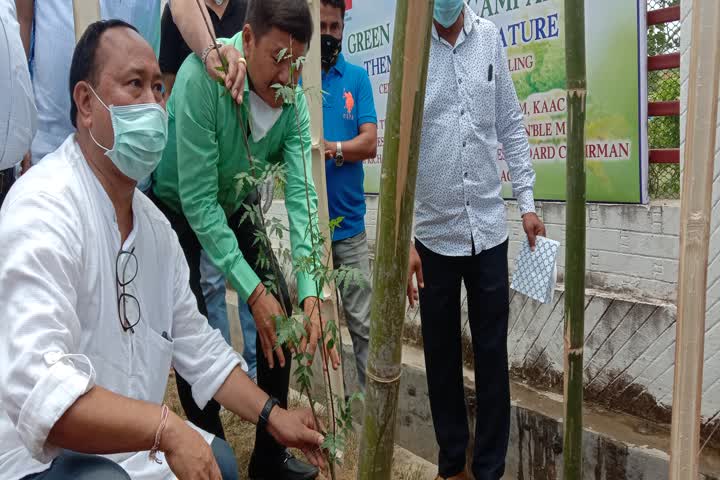 with-focus-on-air-pollution-world-environment-day-celebrated-at-diphu