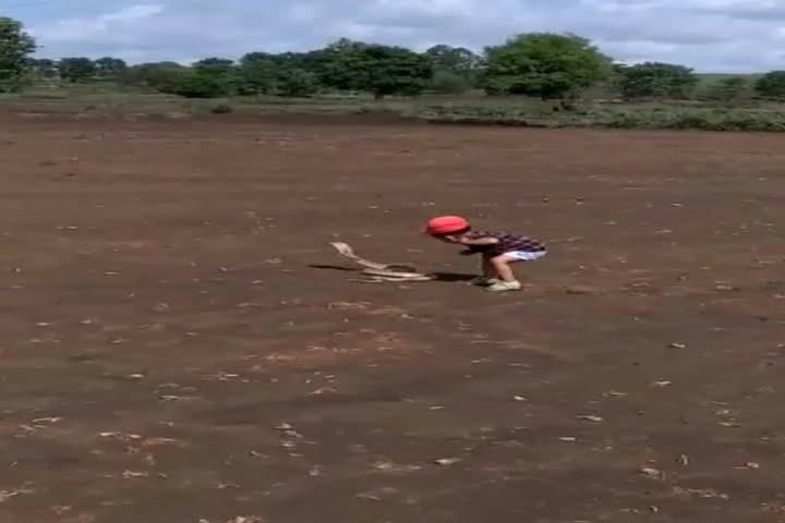 Two-year Old Kid Curious to touch the tail  Of snake: Just missed by the bitten of the Cobra