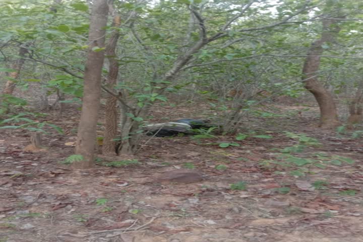 Dead body found in the forest