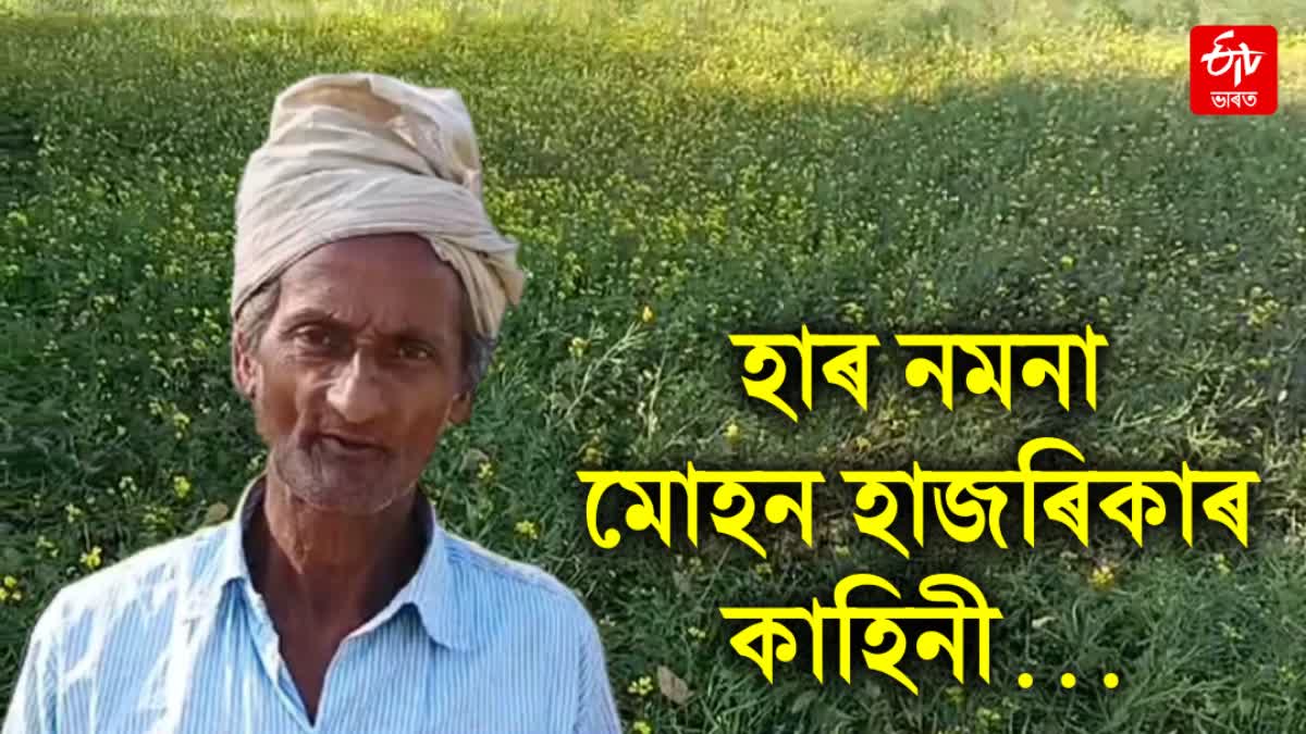 mohan hazarika from majuli becomes self reliant through Mustard cultivation