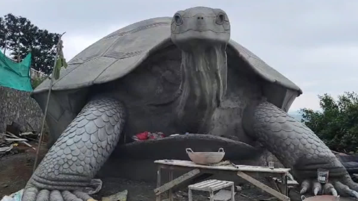 Idukki Aamakkallu  Aamakkallu turtle statue  ആമക്കല്ല്  ഇടുക്കി ടൂറിസം