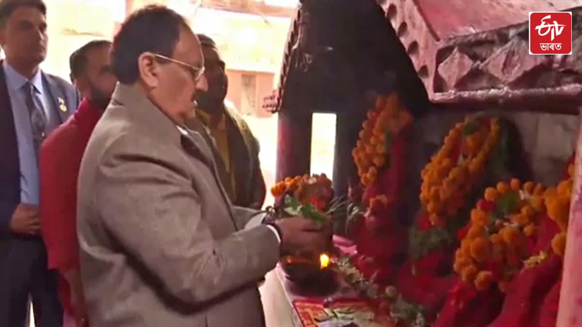 BJP Chief JP Nadda visits Maa Kamakhya Temple