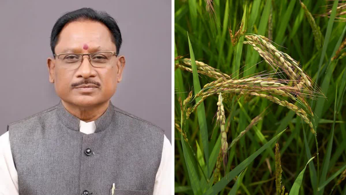 paddy bonus for Chhattisgarh farmers