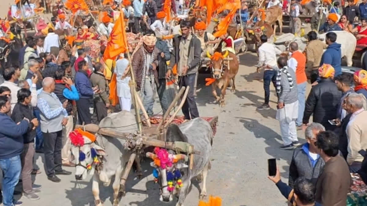 yatra of 101 bullock cart in Bhilwara