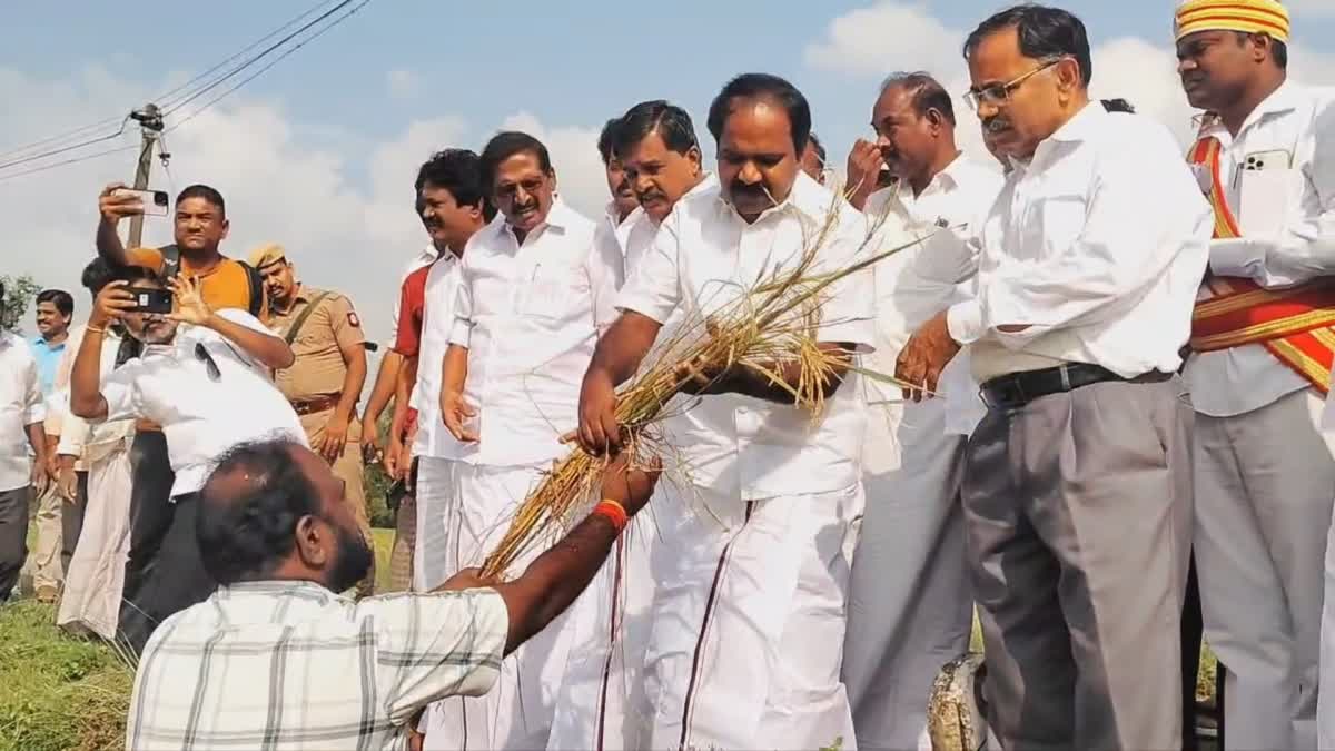 மழையால் பாதிக்கப்பட்ட பயிர்களை நேரில் ஆய்வு செய்தார் அமைச்சர் மெய்யநாதன்