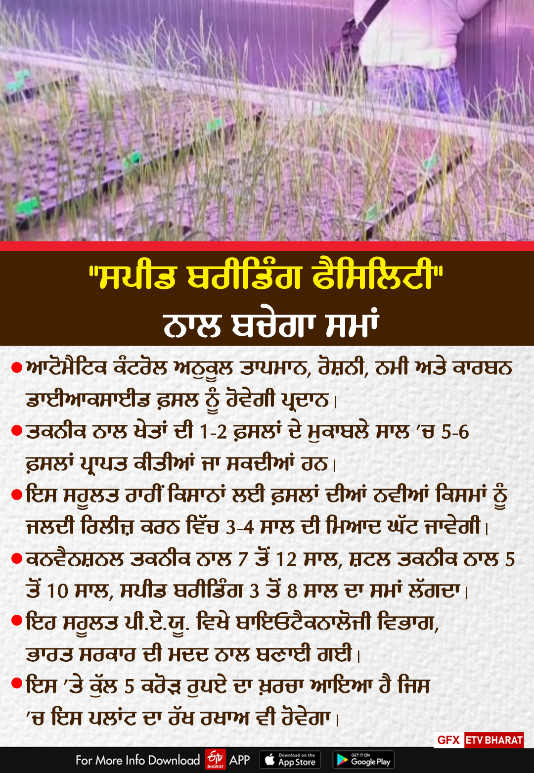 Speed Breeding Research Facility, PAU Ludhiana