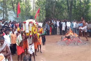 ಹಾಲಬ್ಬ