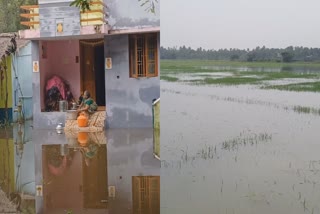 நாகையில் பெய்த கனமழையால் 50க்கும் மேற்பட்ட வீடுகள் சேதம்