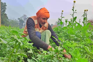 गोपालगज में किसान परेशान