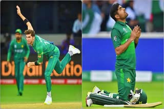 New Zealand vs Pakistan t20 series