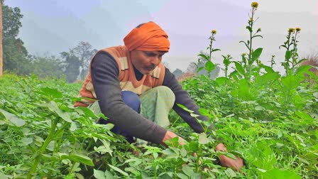 गोपालगज में किसान परेशान