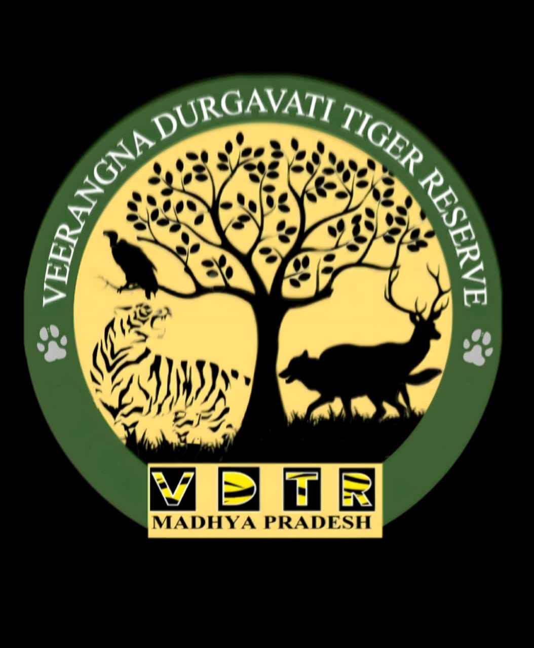 Rani Durgavati Tiger Reserve