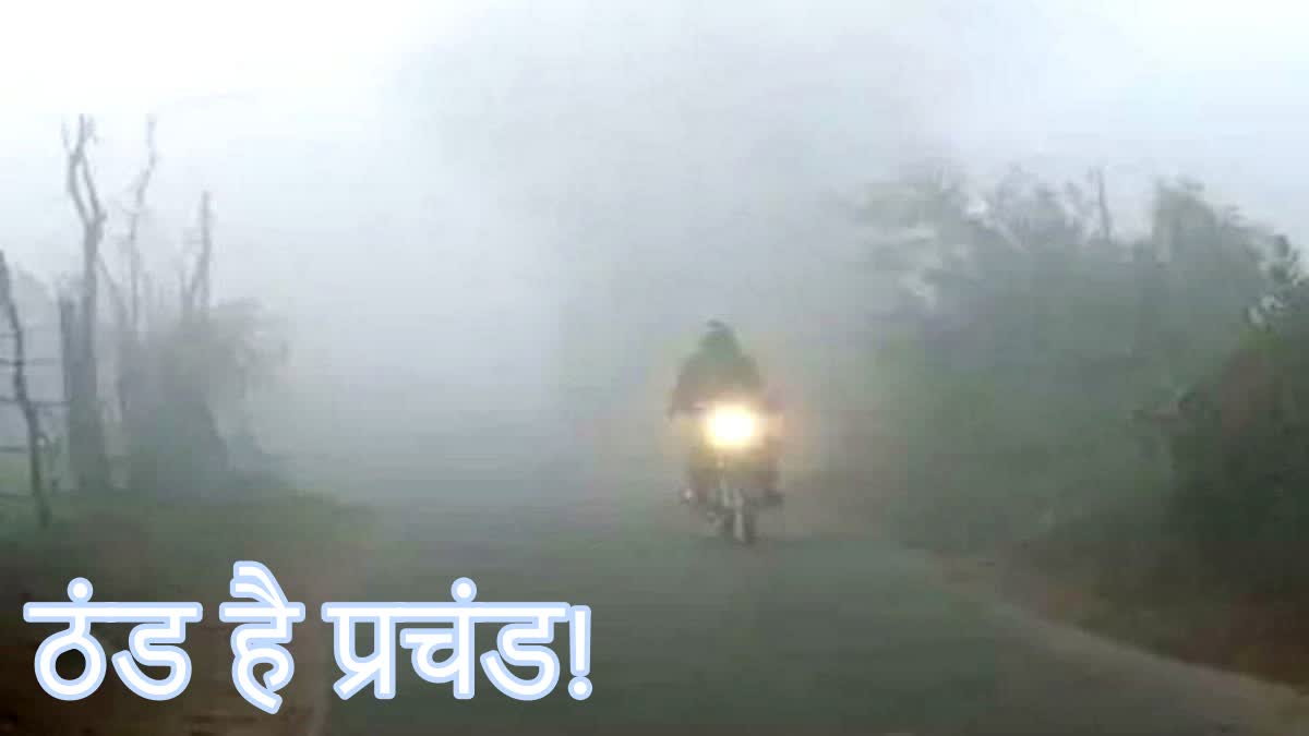 Meteorological department issues yellow alert regarding fog in cold in Jharkhand