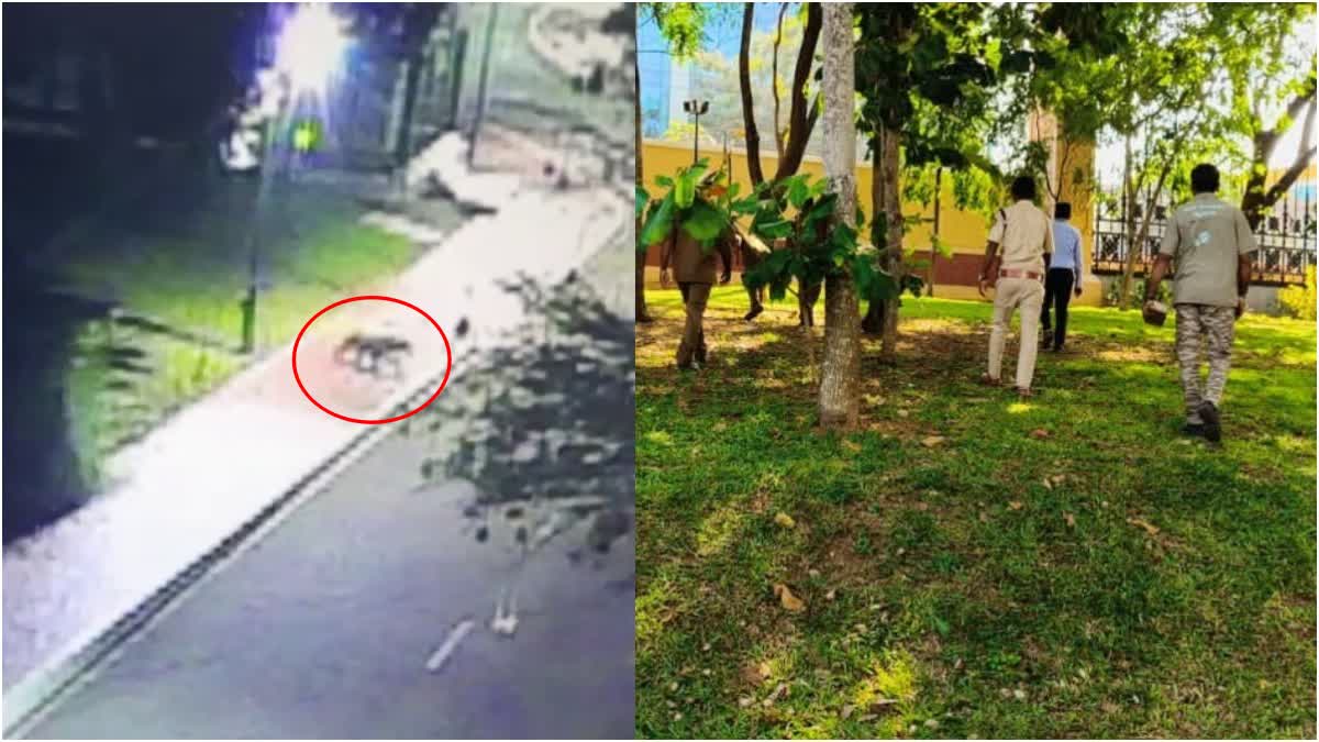 LEOPARD SPOTTED IN INFOSYS CAMPUS