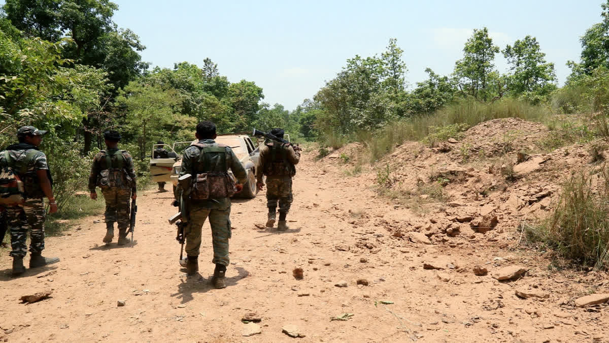 13 Naxalites With A Bounty Of Rs 13 Lakh Surrendered In Chhattisgarh's Bijapur