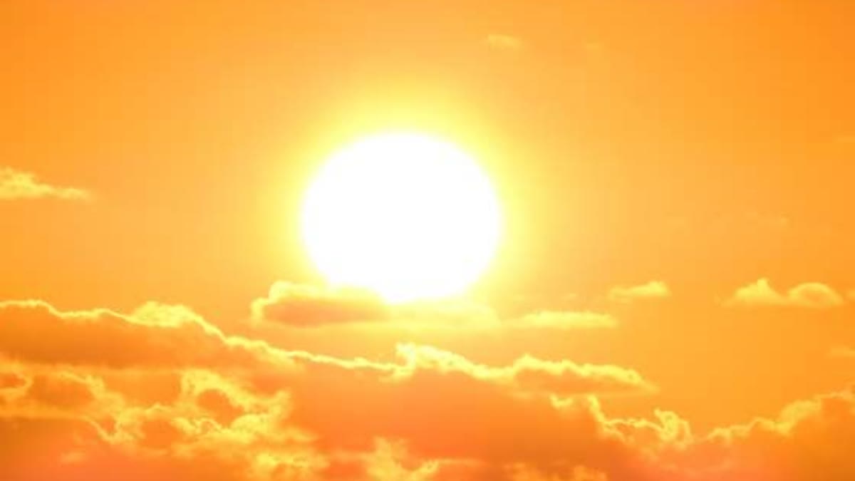 2024 becomes warmest year