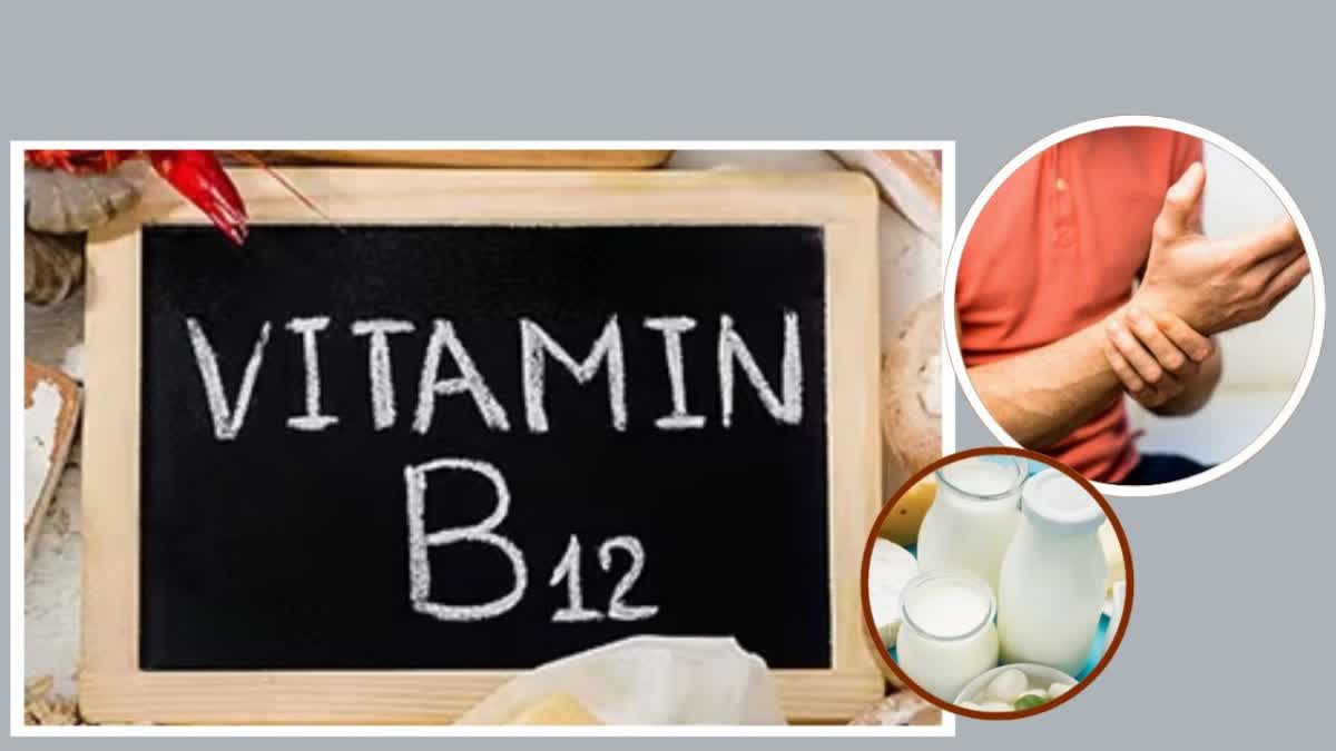 Best Foods to vegetarians for Vitamin B12