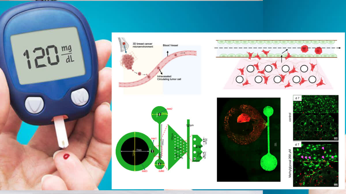 Breakthrough IISc research sheds new light on how ageing and diabetes worsen cancer