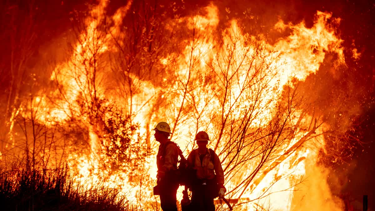 LOS ANGELES WILDFIRES