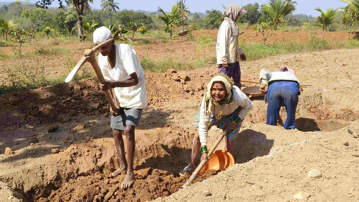 MNREGA workers