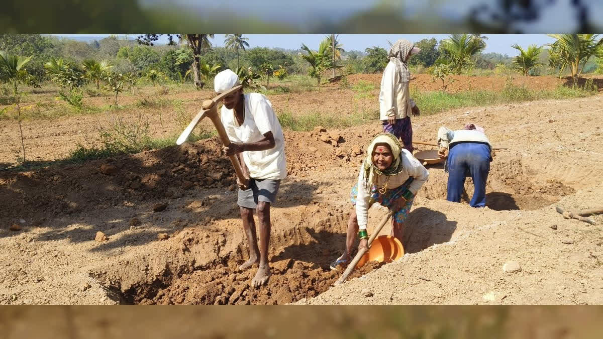 80 And Still Going Strong: Hard Work Of Elderly Couple Under NREGA Inspires Many