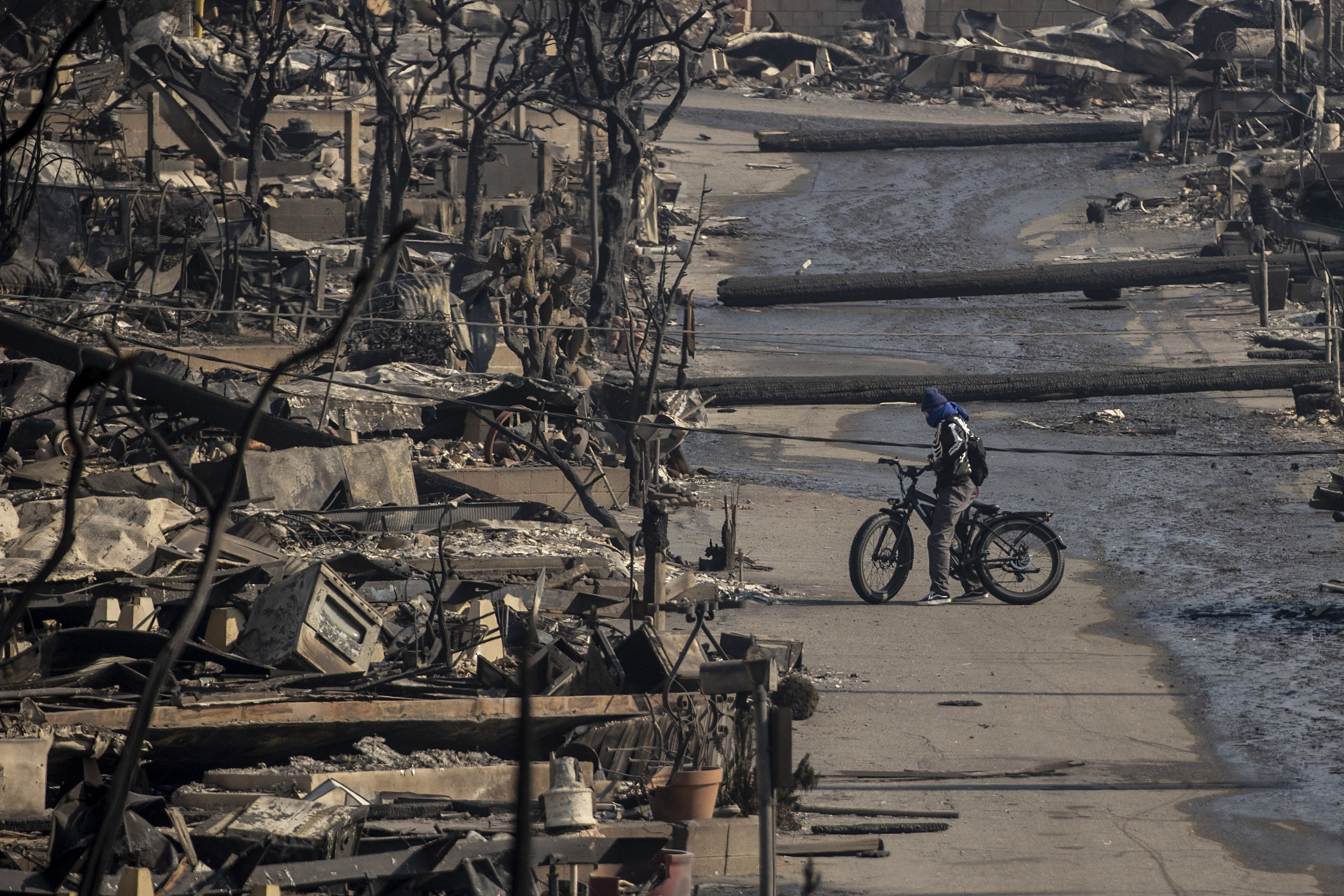 Los Angeles Wildfire