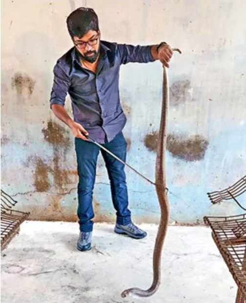 Many Snake Catching Societies Available In Hyderabad