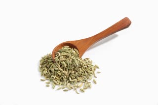 FENNEL BENEFITS