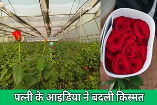 rose Farming