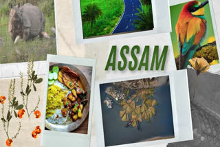 Assam is called the land of the red river and blue hills