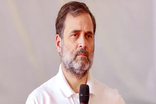 Hearing In Rahul Gandhi Defamation Case Postponed To January 22 Due To Lawyers’ Strike