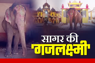 SAGAR VRINDAVAN BAAG MATH ELEPHANT