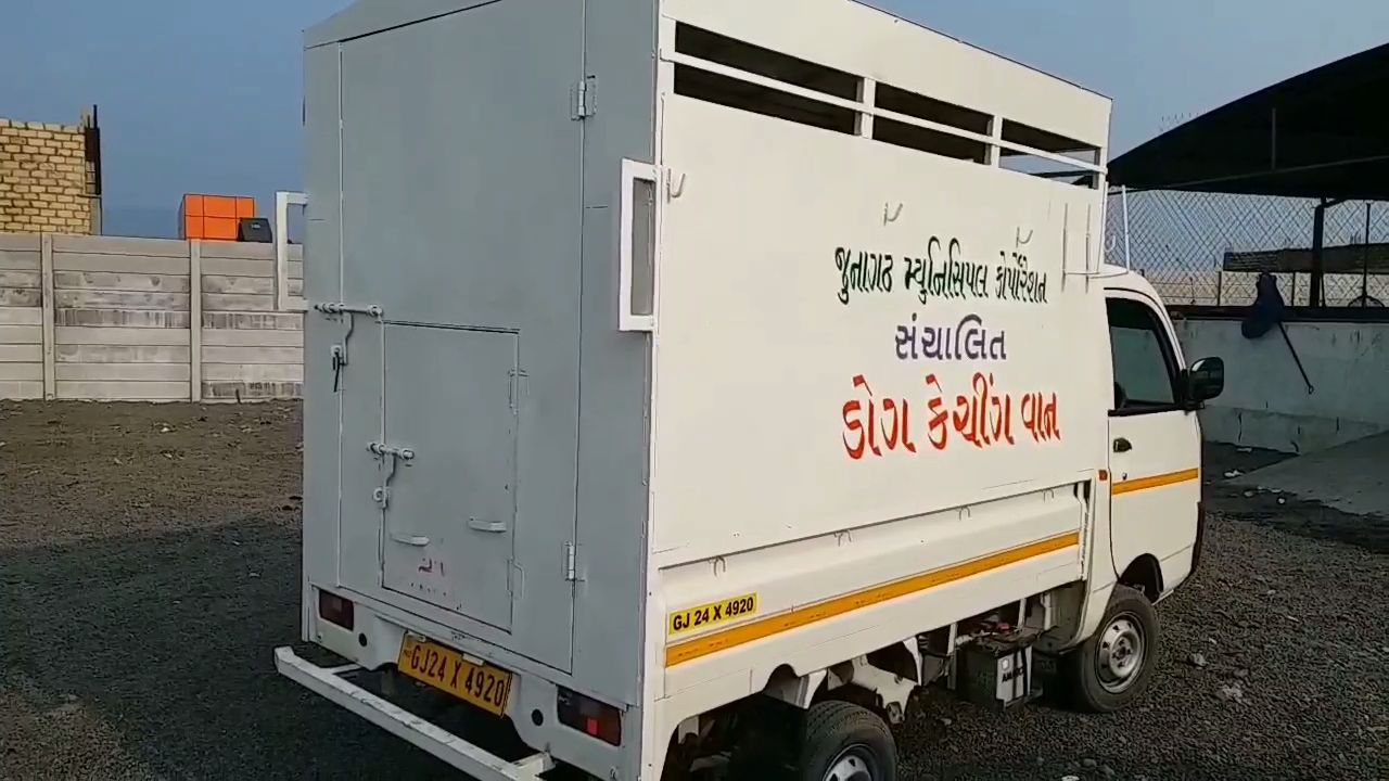 ડોગ કોચિંગ વાન