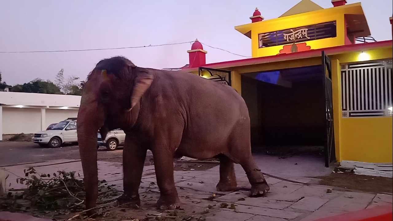 sagar Elephant Temple